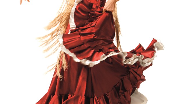 Flamenco system 