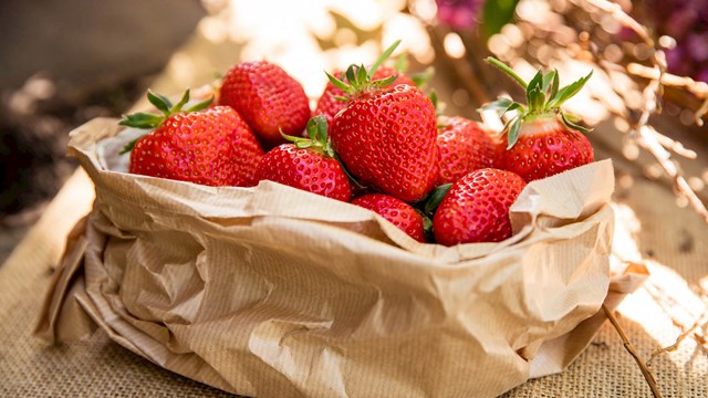 Das Münsterland schmeckt